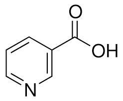 Joonis 3 Niatsiin (B3- ehk PP-vitamiin)