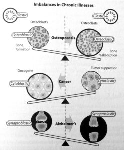 Joonis 2. Ülesehitamise ja lammutamise tasakaalude nihkumised krooniliste haiguste korral: luu moodustamine  > luu lammutamine osteoporoosi korral; rakkude  paljunemine  <  rakkude  hävimine vähi korral; sünapside moodustumine  > sünapside hävimine Alzheimeri tõve korral.  