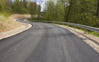 Käänuline elutee